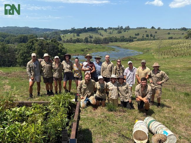 The ReForest Now team on a freshly planted site in New South Wales. Photo: ReForest Now